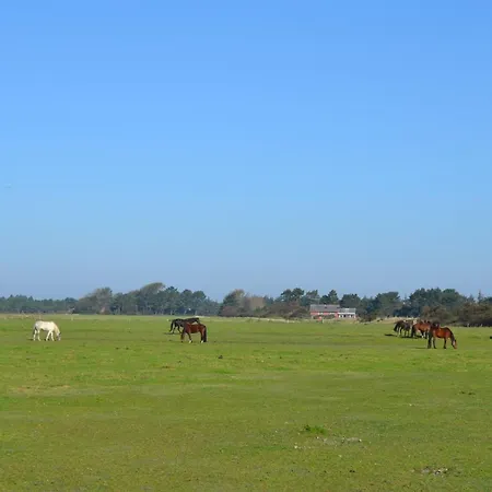 Lin - 2-9km From The Sea By Interhome Nyaraló Toftum
